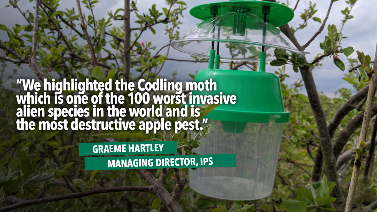 Funding-secured-for-gadget-that-identifies-apple-moth-pest Funding-secured-for-gadget-that-identifies-apple-moth-pest